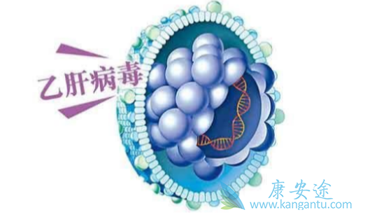 乙肝病毒 乙肝病毒