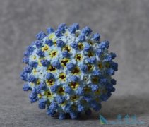 ҸβȾ;Щ͸׸ȾĻʴ