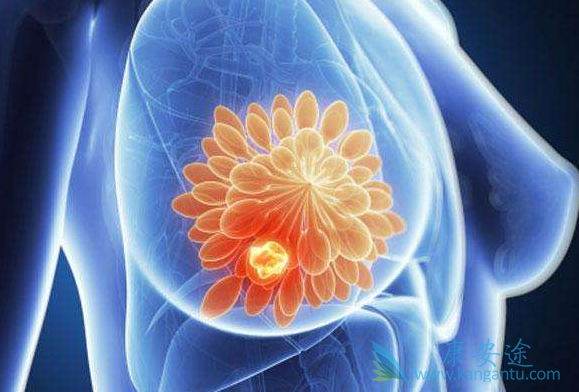 内分泌治疗 内分泌治疗