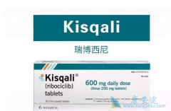 ��������(Kisqali)���������������