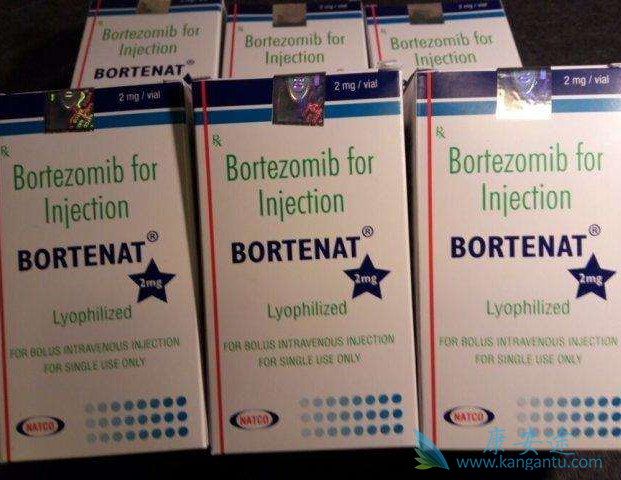 硼替佐米 硼替佐米