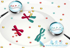 ���ٰ����԰��������𣿰���ҩ������Щ��