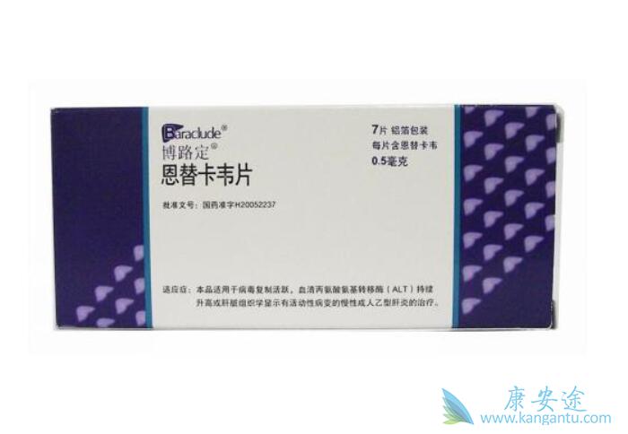 恩替卡韦 恩替卡韦