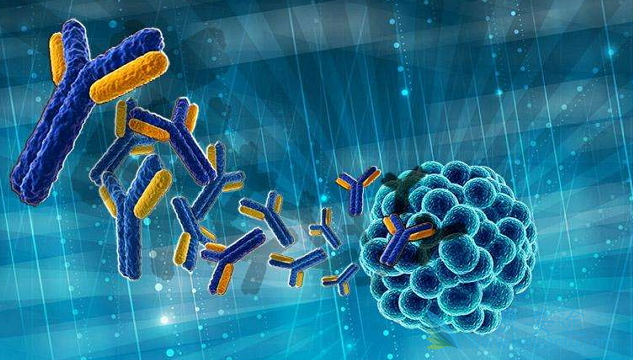 靶向药物 靶向药物