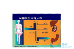 ˫�����������Ӱ���� ˫��������ʲô