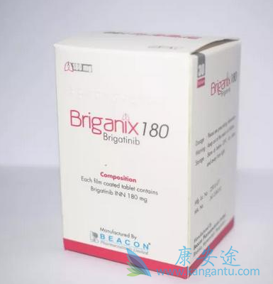 布加替尼 布加替尼