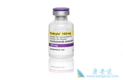 ���ٰ������Ʒ�������Щ�������鵥����Ч����ô����