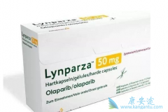 ��������(Olaparib)��������ǰ���ٰ���ʲô���棿