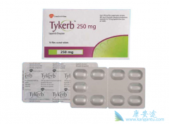 ��������(Lapatinib)��������ת������