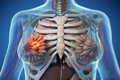 ��ά˾Ⱥ�����ٰ��ڷ������Ƶȼ����