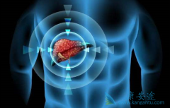 �����������ĸ�ҩ����������