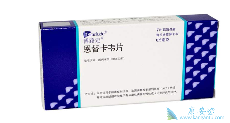 恩替卡韦片 恩替卡韦片