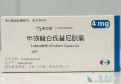 �ط����������������ҩ������׼