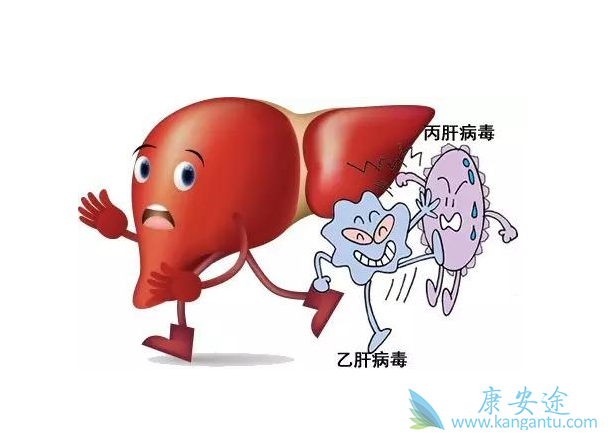 丙肝病毒 丙肝病毒
