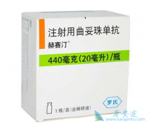 �����鵥���ı���HER2�������ٰ������ƽ���