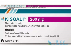 ����ҩ�����������й������е���Ч