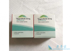 ������(Regorafenib)�Ļ�����΢����״̬�޹�