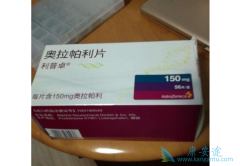 ��������(Olaparib)�ڷ������е�����Ǳ�� 