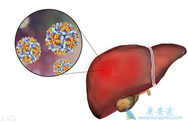 抗病毒治疗 抗病毒治疗