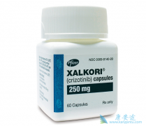 ��������/Crizotinib�ļ��