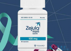 ��������(Zejula)���ò����и������߻���