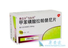 ������������/Lapatinib�ļ��