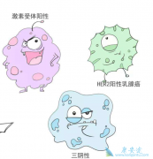 �ڷ��������Ѿ���Ϊ�����ٰ����Ƶķ�ʽ