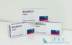 PARP���Ƽ����������ɸ��ƻ��ߵ���������