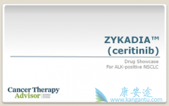 ɫ������/ceritinib��˵����