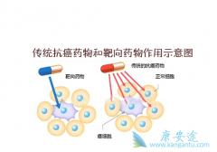 ��ϸ��ʹ�÷��Ӱ���ҩ���������Ч����