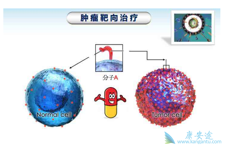 靶向药物 靶向药物