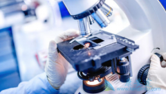 �����Τ(Remdesivir)�ǿ��������ϣ��