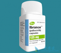 ��������/palbociclib���׸������������������ٰ���CDK4/6���Ƽ�