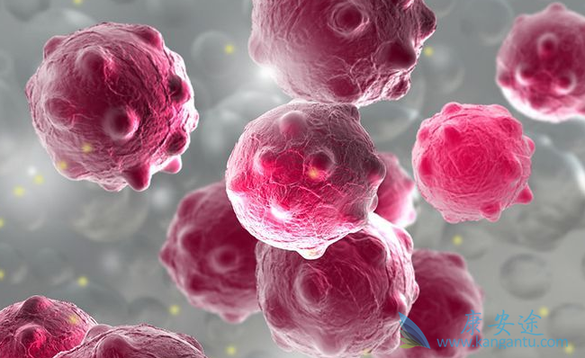 冠状病毒 冠状病毒