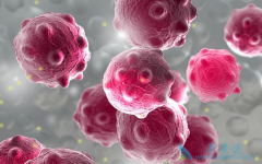 ���͹�״�����Ƽ�ҩ��������Τ������Ҫע��ʲô��