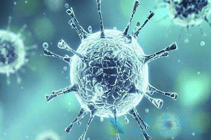 新冠病毒 新冠病毒