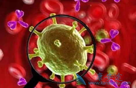 新型冠状病毒 新型冠状病毒