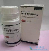 ���ڿ���֥���������ư��̲���ҩ��