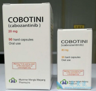 �ΰ��ܳԿ������ὺ��(XL184)��