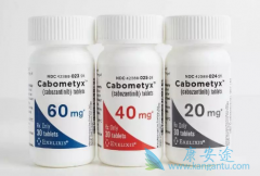 �������ὺ�Ҷ����������������о�