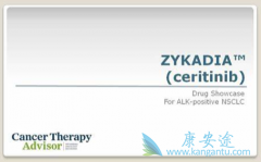ɫ������/Ceritinib���ٴ�����Ч���ܺ�