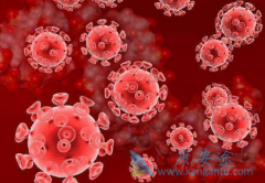 ������Τ��(DTG)���������֢