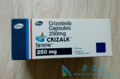 ��������(Xalkori)���ӳ�����������洦