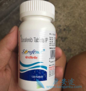 ӡ�ȶ༪��/����������ô��