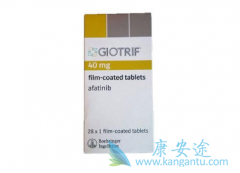 ��������(afatinib)����ΪERBB2���Էΰ����ߵ����Ʒ���