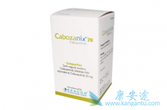 �Կ�������(XL184)����С������