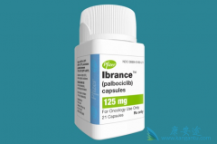 HER2�������ٰ����ڰ�����ҩpalbociclib