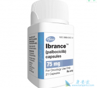 Palbociclib/Ibrance��η��ã�