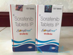 ֤��ӡ�ȶ༪����Ч��֤��