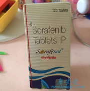 ӡ�ȶ༪��/���������ƶ��˸ΰ����Ʒ�����չ